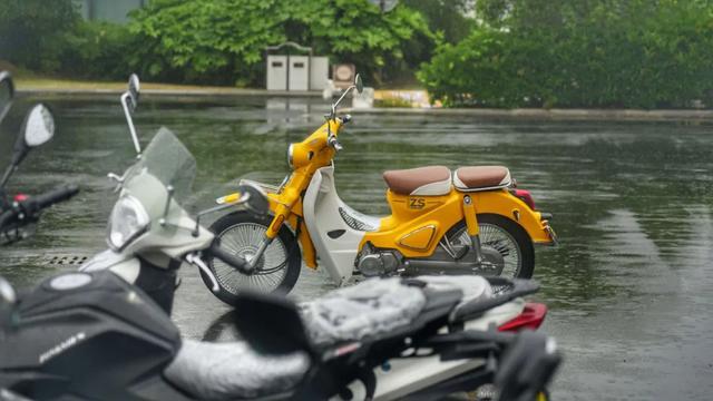钦州_7777788888管家婆老家,拆穿批注请全面2释义、解释与落实